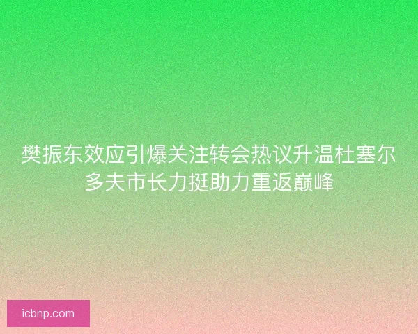 樊振东效应引爆关注转会热议升温杜塞尔多夫市长力挺助力重返巅峰